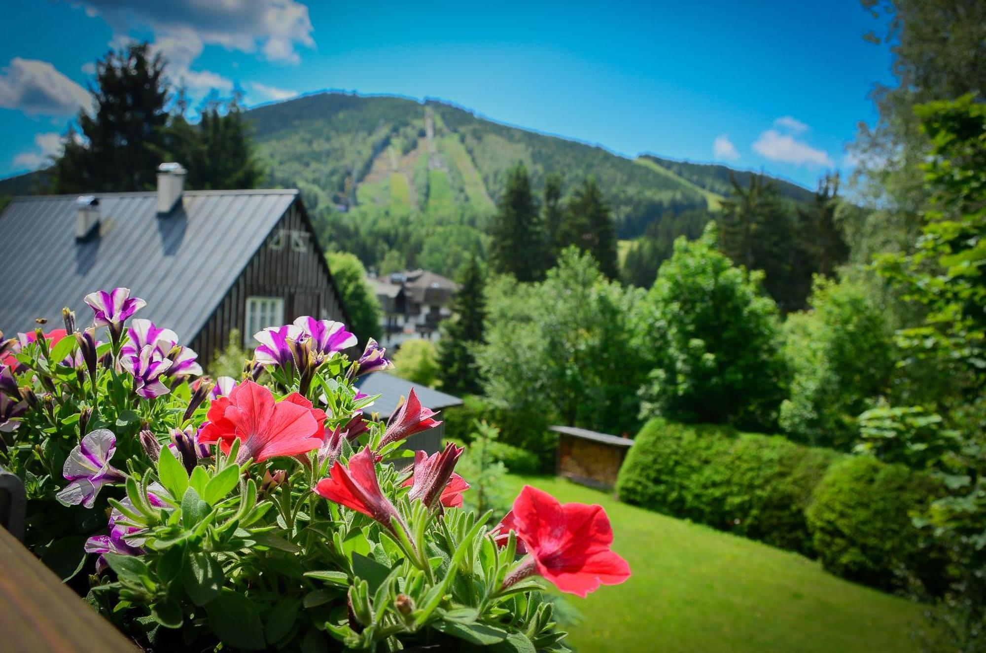 Hotel Friuli ハルラホフ エクステリア 写真